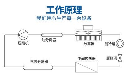 DLS-1000N